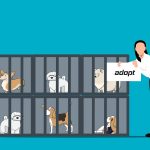 (Pet Benefit) 10 Reasons Why You Should Adopt a Pet from a Shelter